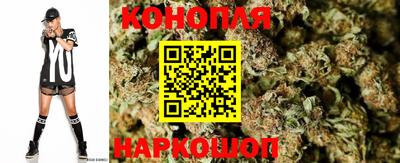 сатива Ипатово