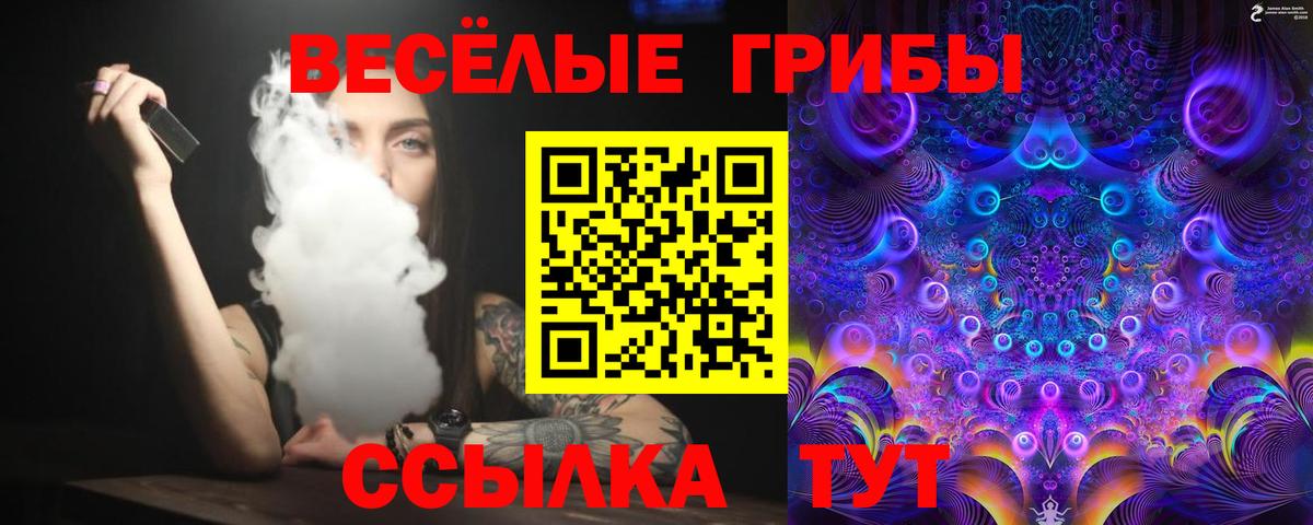 Псилоцибиновые грибы MAGIC MUSHROOMS Кыштым
