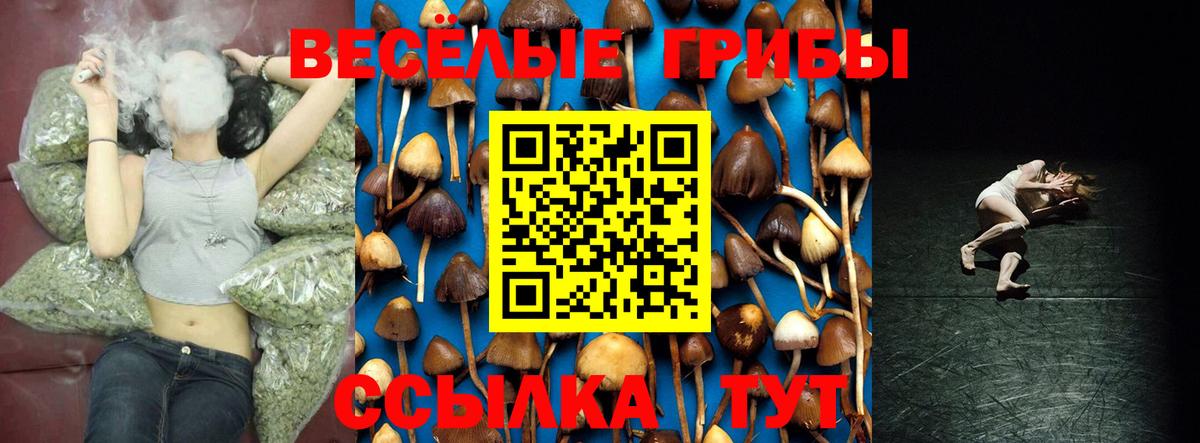 Кыштым  Галлюциногенные грибы Psilocybe  дарнет шоп  Вход с VPN 